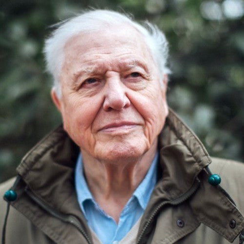 David Attenborough Remix Competition