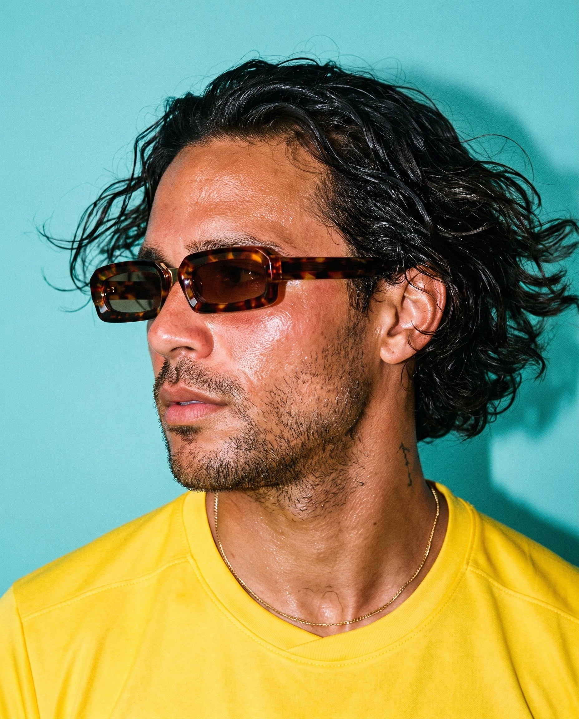 Hipland Corsica Sunglasses Tortoise   Brown on model