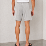 Hipland Washed All Day Shorts - Light Grey - back view